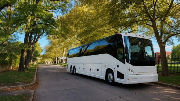 hemet vacation bus rentals for family trips